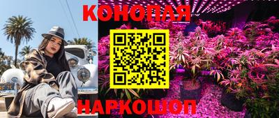 jwh Новокубанск
