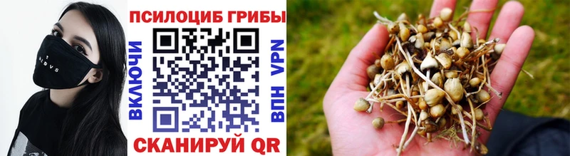 площадка как зайти  сколько стоит  OMG ссылки  Солнечногорск  Псилоцибиновые грибы мухоморы 