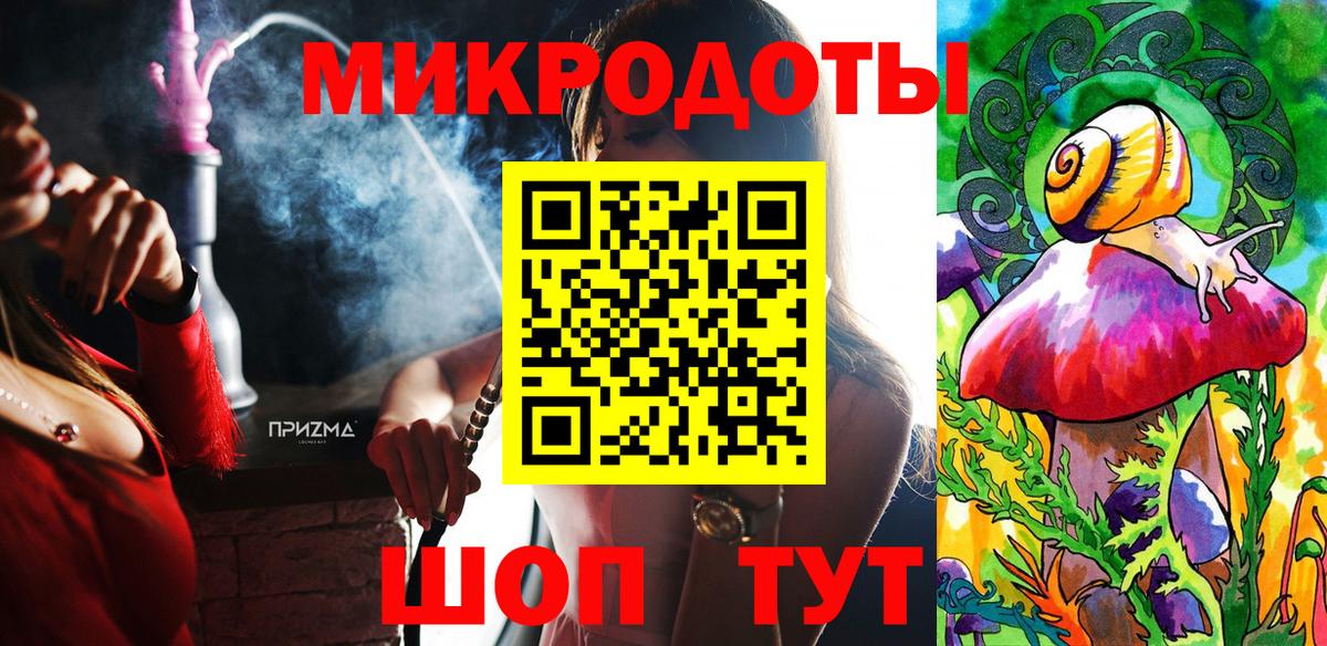 Псилоцибиновые грибы Psilocybe Солнечногорск